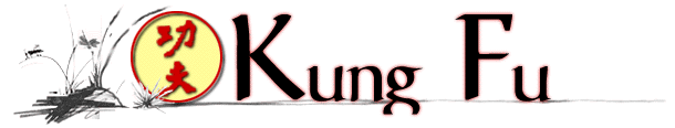 Kung Fu Section Header Graphic