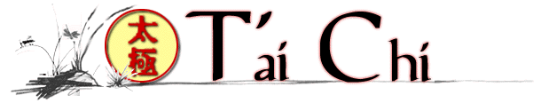 T'ai Chi Section Header Graphic